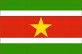 vlag